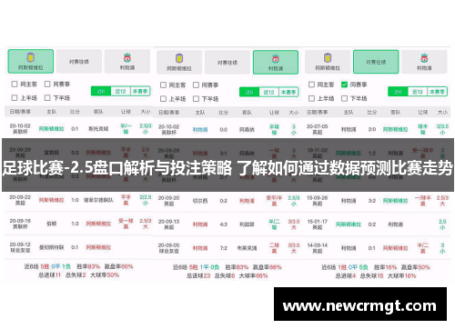 足球比赛-2.5盘口解析与投注策略 了解如何通过数据预测比赛走势